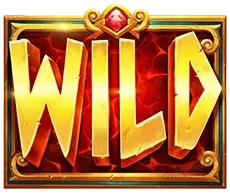 Символ Wild
